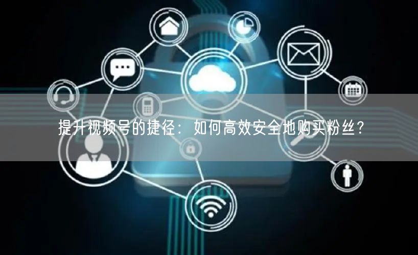 提升视频号的捷径:如何高效安全地购买粉丝?