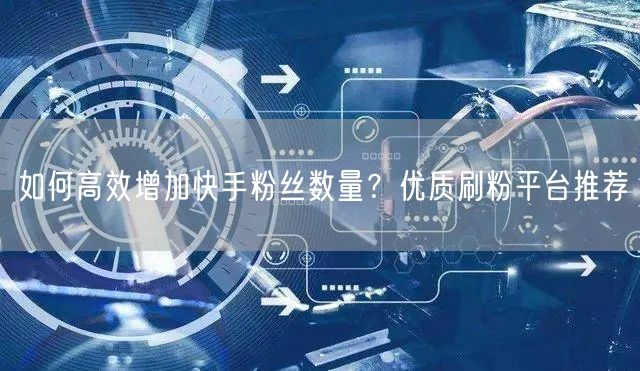 如何高效增加快手粉丝数量?优质刷粉平台推荐