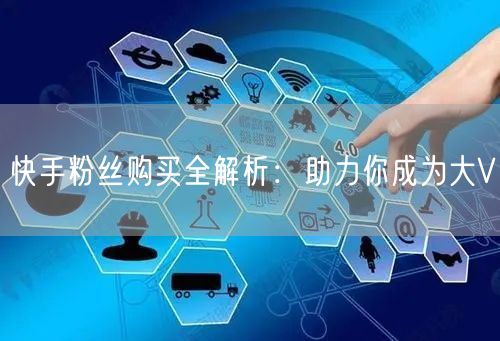 快手粉丝购买全解析:助力你成为大V