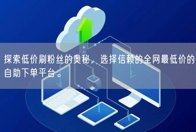探索低价刷粉丝的奥秘,选择信赖的全网最低价的自助下单平台。