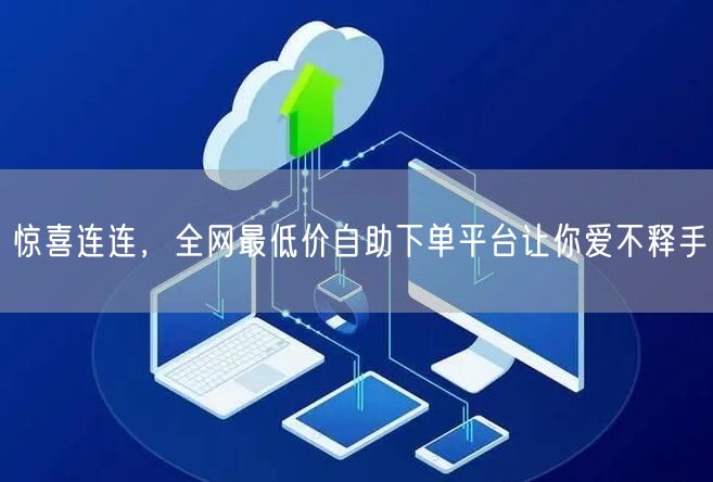 惊喜连连,全网最低价自助下单平台让你爱不释手