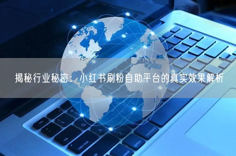 揭秘行业秘密:小红书刷粉自助平台的真实效果解析