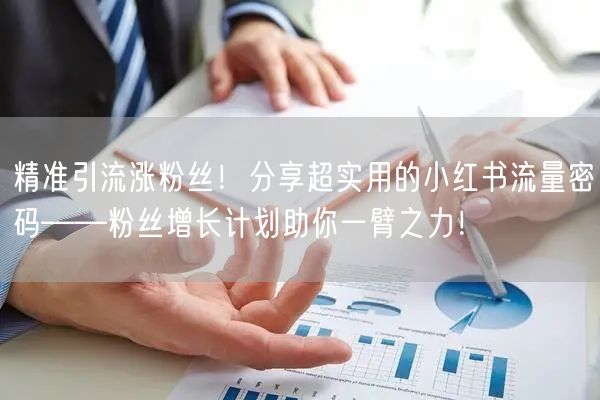 精准引流涨粉丝!分享超实用的小红书流量密码——粉丝增长计划助你一臂之力!