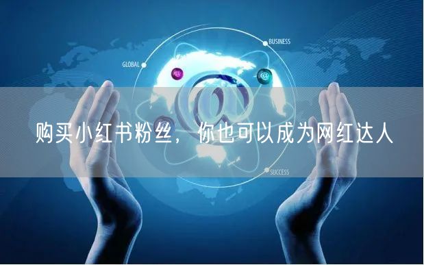 购买小红书粉丝,你也可以成为网红达人