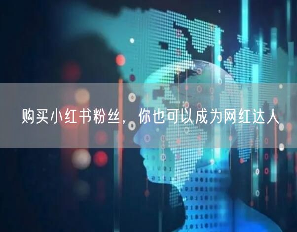 购买小红书粉丝,你也可以成为网红达人