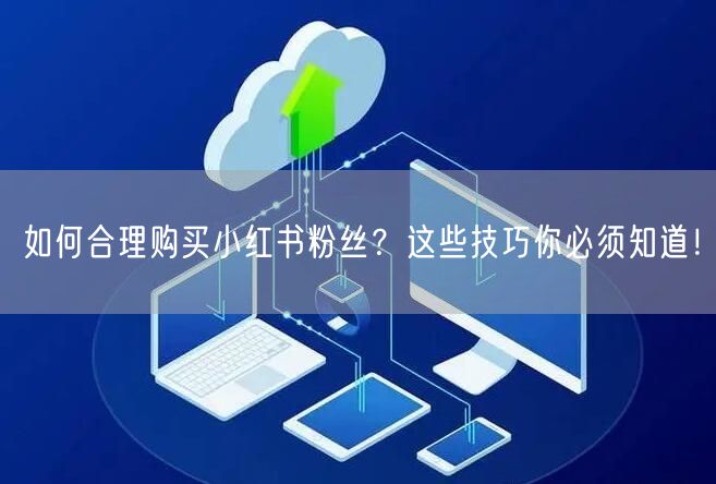 如何合理购买小红书粉丝?这些技巧你必须知道!
