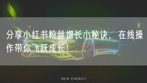 分享小红书粉丝增长小秘诀,在线操作带你飞跃成长!
