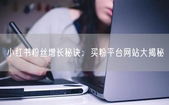 小红书粉丝增长秘诀:买粉平台网站大揭秘