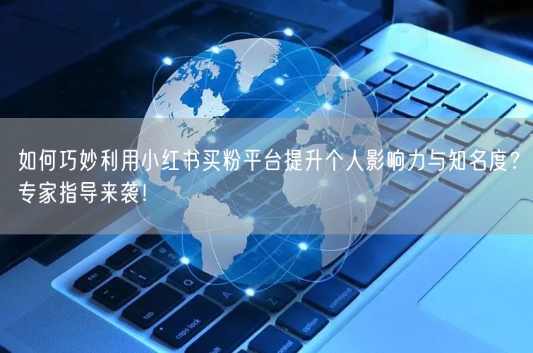 如何巧妙利用小红书买粉平台提升个人影响力与知名度?专家指导来袭!