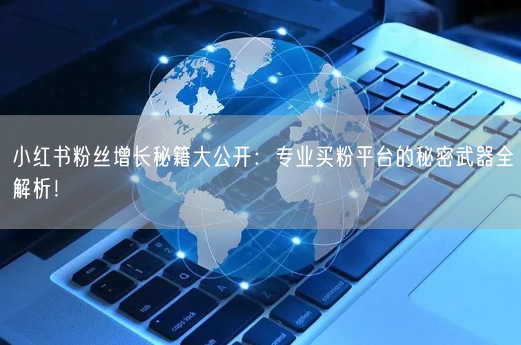 小红书粉丝增长秘籍大公开:专业买粉平台的秘密武器全解析!