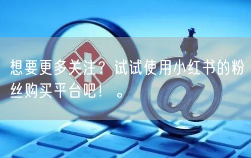 想要更多关注?试试使用小红书的粉丝购买平台吧!。