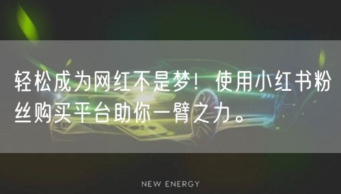 轻松成为网红不是梦!使用小红书粉丝购买平台助你一臂之力。